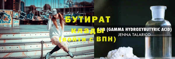 прущие грибы Елабуга