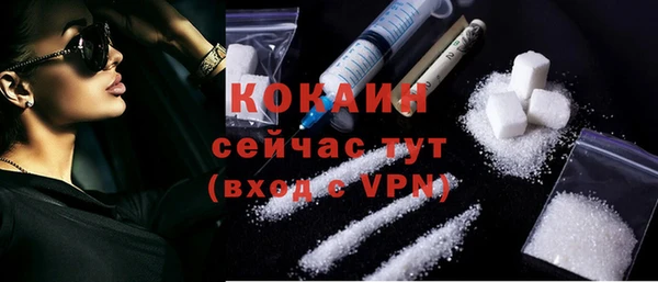 прущие грибы Елабуга