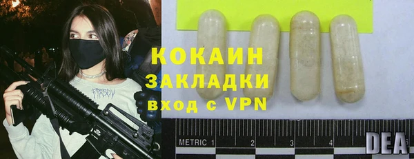 прущие грибы Елабуга