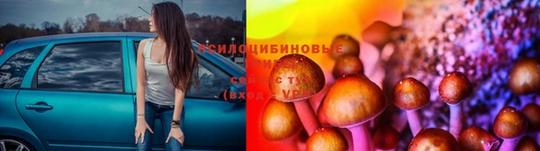 мяу мяу кристалл Елизово