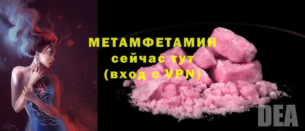 прущие грибы Елабуга