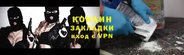 прущие грибы Елабуга
