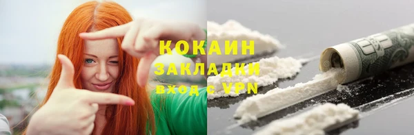 прущие грибы Елабуга