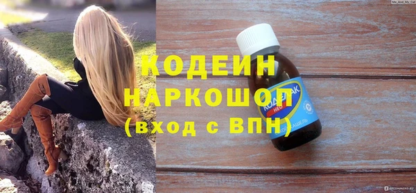прущие грибы Елабуга