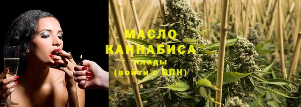 прущие грибы Елабуга