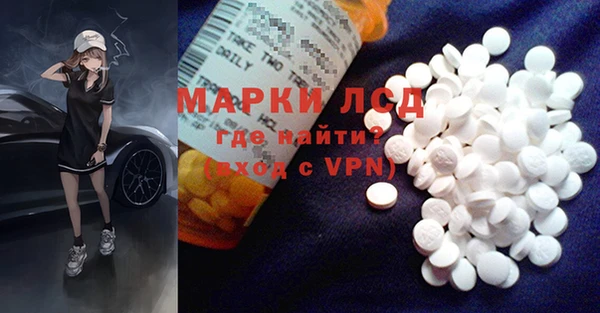 прущие грибы Елабуга