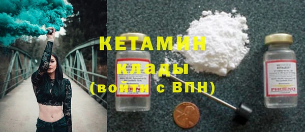 прущие грибы Елабуга