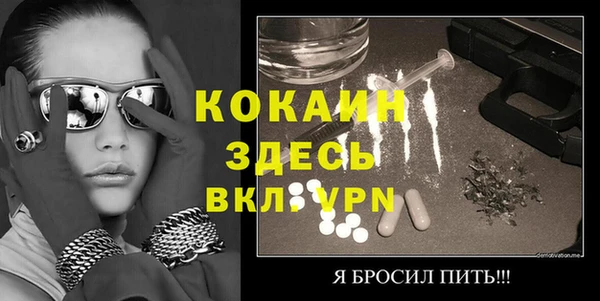 прущие грибы Елабуга
