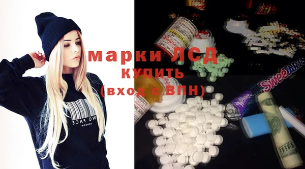 прущие грибы Елабуга