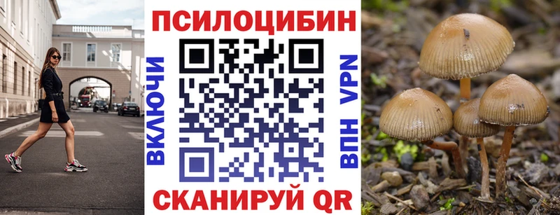 Галлюциногенные грибы мицелий  даркнет сайт  Волгодонск 
